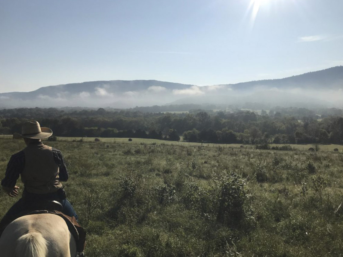 A person on horseback riding through the grass.