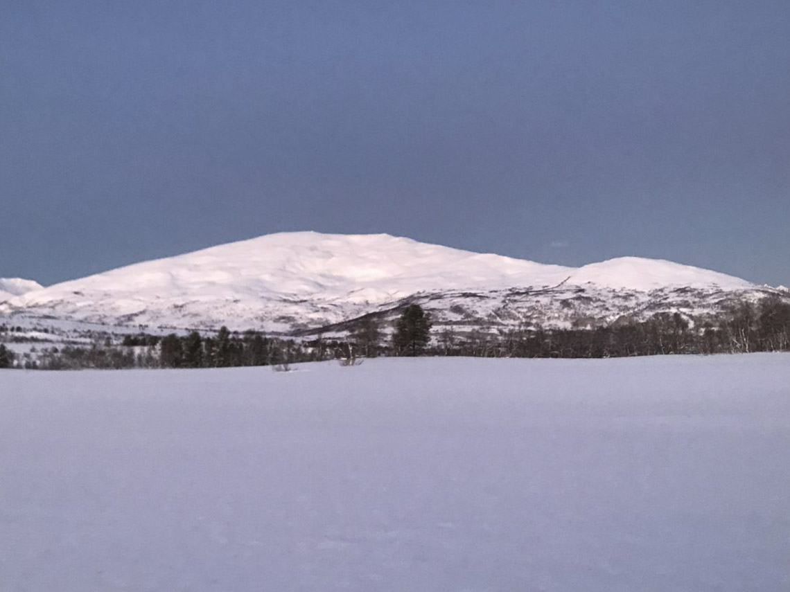 A snowy mountain with trees in the distance.