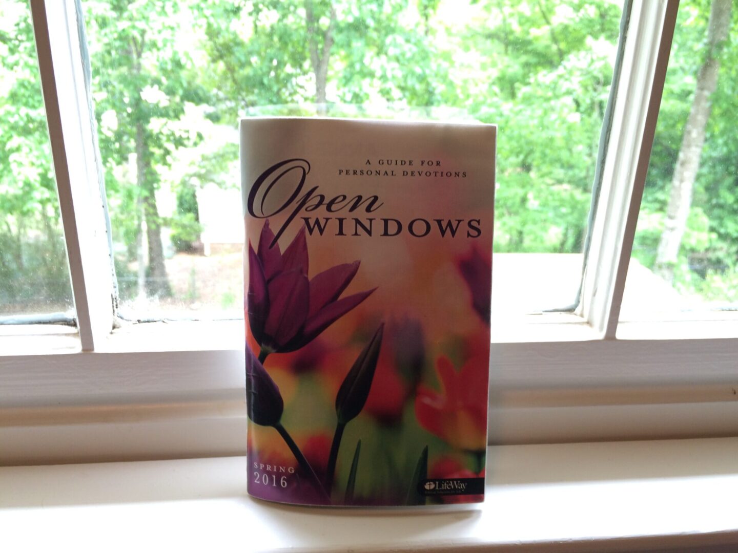 A book sitting on top of a window sill.