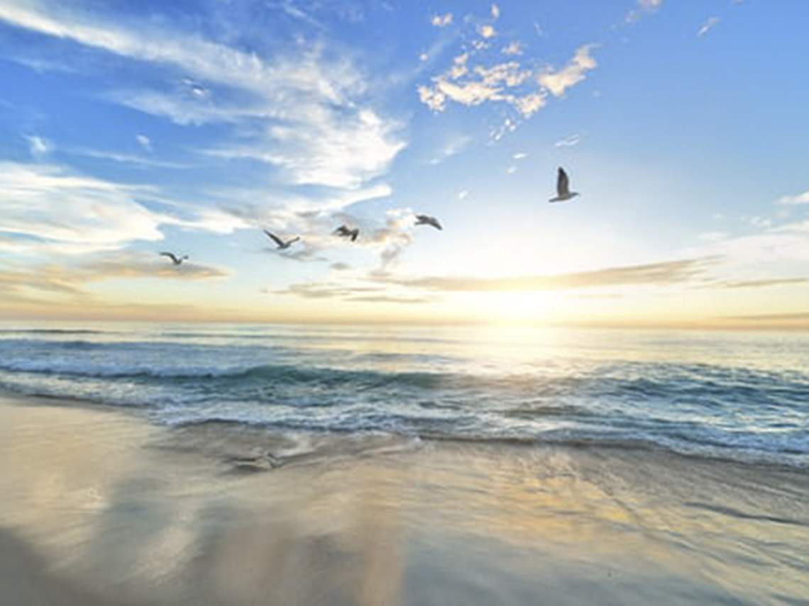 A beach with seagulls flying over it and the sun setting.