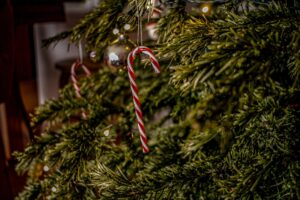A candy cane hanging from the side of a christmas tree.