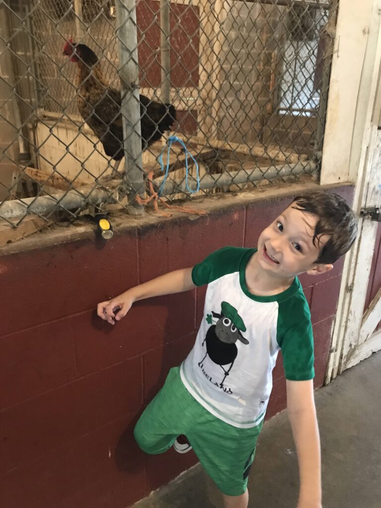 A boy in green shirt next to fence with chicken.