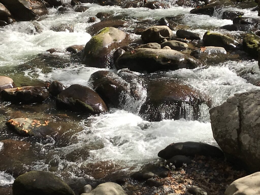 A stream of water flowing over rocks.