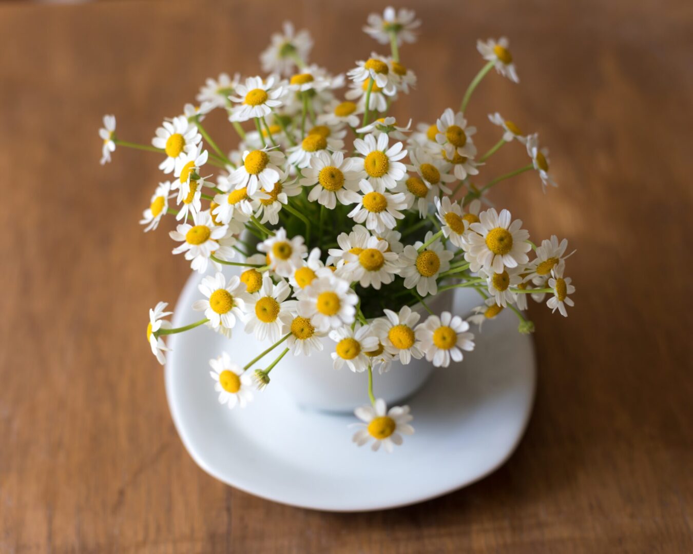 A white cup with some yellow flowers in it