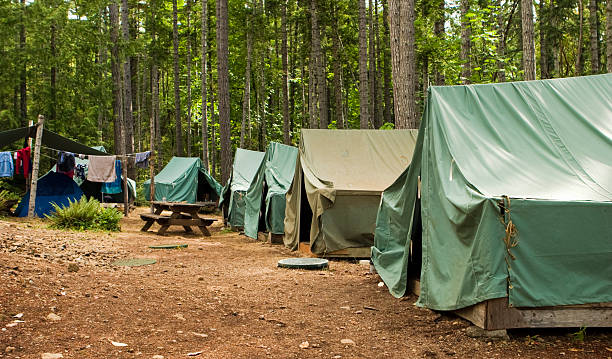 A group of tents in the woods with trees