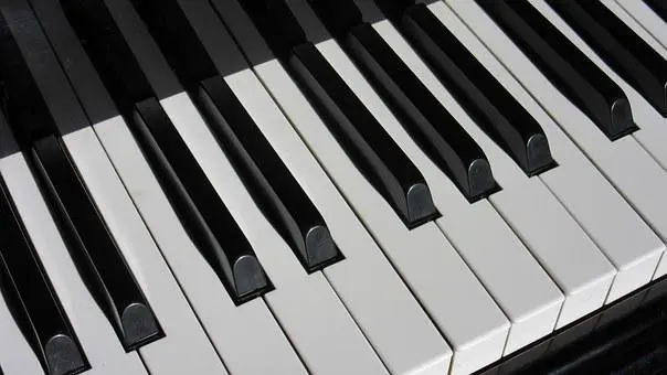 A close up of the keys on an electronic piano