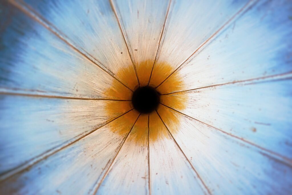 A close up of the inside of an umbrella
