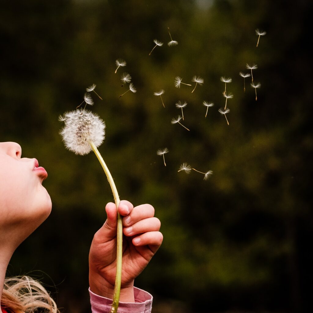 A child blowing on a dandelion in front of trees.